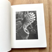 Image 5 of Odette England - The Long Shadow (Signed with print)