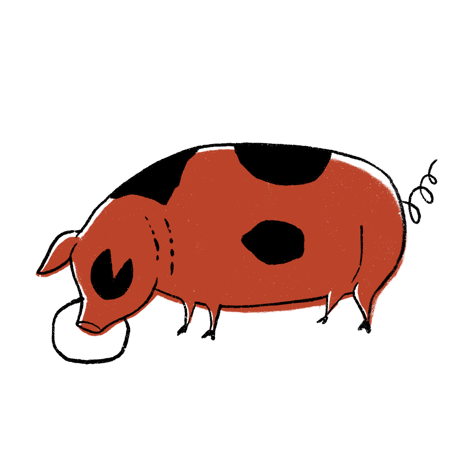 Vintage Illustration Farm Animals - Pig