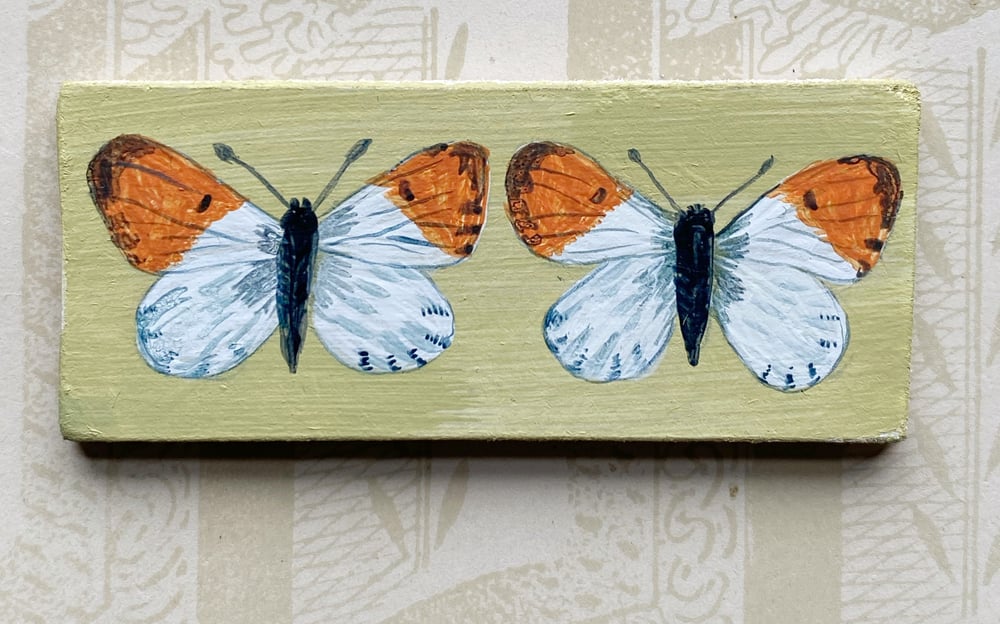 Image of Miniature butterfly painting (B)
