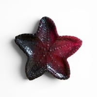 Image 6 of Starfish Trinket Dishes