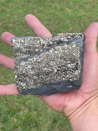 Image 12 of Shungite Specimen With Cubic Pyrite #606