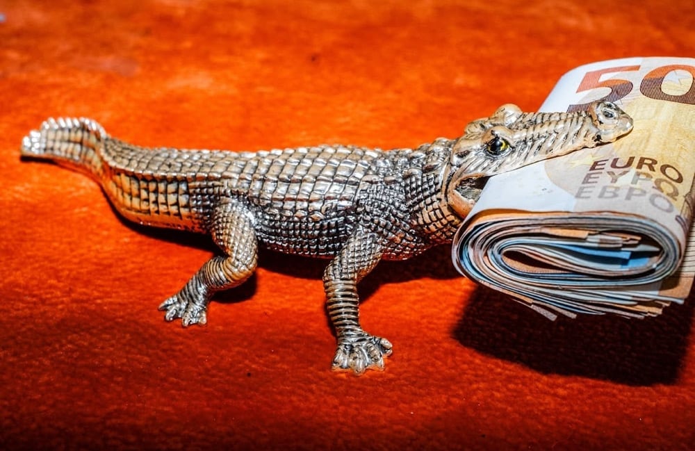 Image of crocomoney