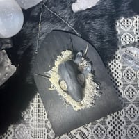 Image 2 of Illumoria