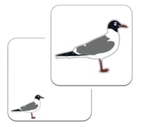 Image 3 of Laughing Gull - No.143 - UK Birding Pins