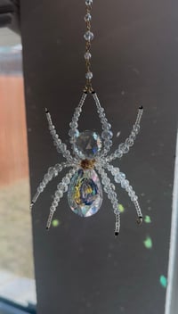 Image 2 of Lunar Prism Spider