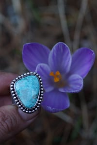 Image 1 of Old Stock Turquoise Butterfly Wide Band | Size 8.5
