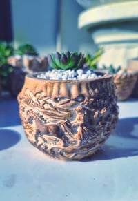 Image 1 of LadyHorse - Sempervivum (με παχύφυτο)