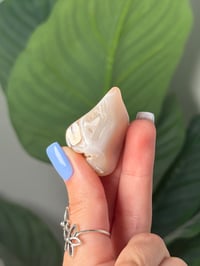 Image 2 of TUMBLED AGATE #45 -MALAWI-
