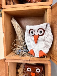 Image 4 of Neighbors -Cherie Correll