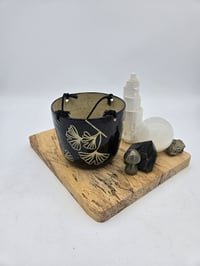 Image 1 of Black Ginko Hanging Planter