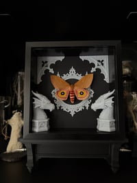 Image 2 of Silk moth