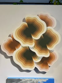 Michael Wayne Hall	/ "Bewilder"