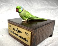 Image 1 of Handmade Custom Engraved Indian Ring Neck Parrot Urn Handpainted Pet Portrait