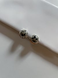Baby Dalmatian Studs