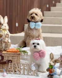 Image 3 of FLUFFY CROCHET BOW 