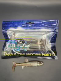 Image 1 of 4” Creek Chub (Alabama shiner) 