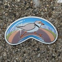 Image 3 of Chicago Piping Plover 3” Sticker