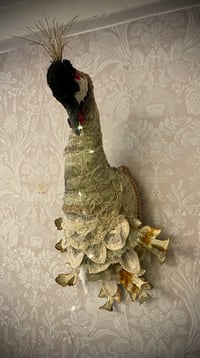 Image 3 of Crested Crane 