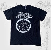 Image 1 of self destruct 