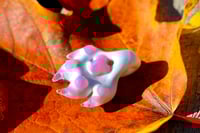 Image 2 of Mini White Paw #2