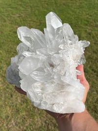 Image 6 of Large Clear Quartz Points Cluster Statement Piece #2258