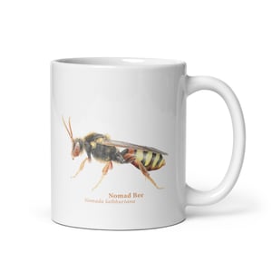 Andrena Nomada mug