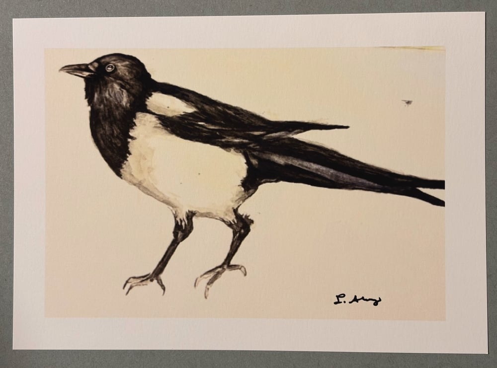 Image of “Magpie” (Giclee Print)