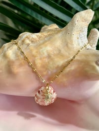 Image 1 of Tiny Scallop Shell + Sea Turtle Necklace N171