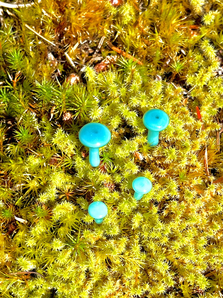 Image of 4 Blue Mushroom Plant Spikes