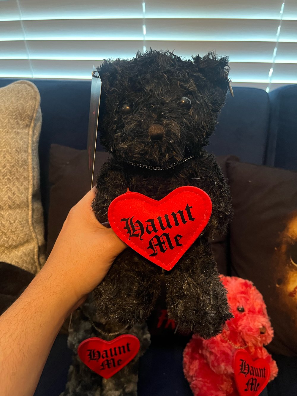 Limited Edition "Haunt Me" Teddy Bear