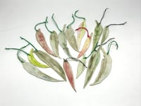 Image 2 of Gum Leaves