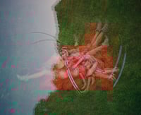 Image 4 of Scorpion Seer Buckle 