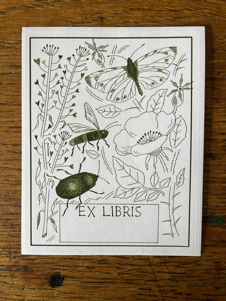 Image of Bookplate pack, olive 