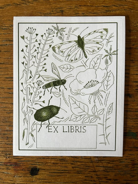 Image of Bookplate pack, olive 