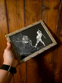 Image 4 of 1800s Gustave Dore Spiders - with real preserved webs -D