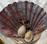Image 1 of Cowrie Earrings 