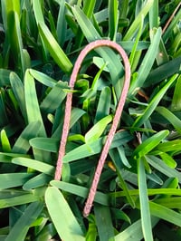 Image 4 of Wild Copper Roots