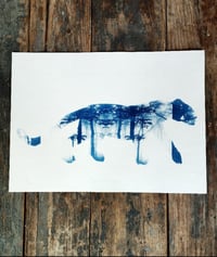Image 1 of Cyanotype de "Camouflage"