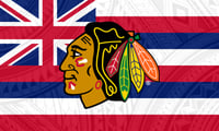 Chicago Blackhawks Hawaiian Flag 