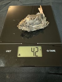 Image 2 of Medium Quail 