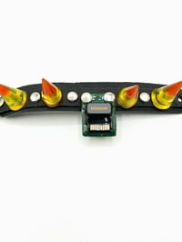 Image 3 of kandy korn