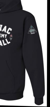 Image 4 of Zodiac Academy Pitball Apparel