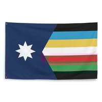 Minnesota Disability Pride Flag