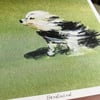 Headwind - Archive Quality Print