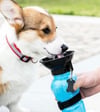 Dog Water Bottle