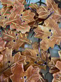 Mr crunchy leaf 