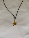 Starfish Necklace 