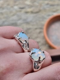 Image 2 of moon rings 