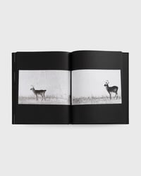 Image 7 of Banks Violette "no title (gas station, black version)"