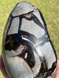Image 11 of Septarian Nodule Polished Freeform | Madagascar #3243